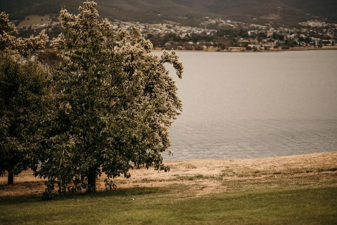 Otago Cottage Hobart Esterno foto