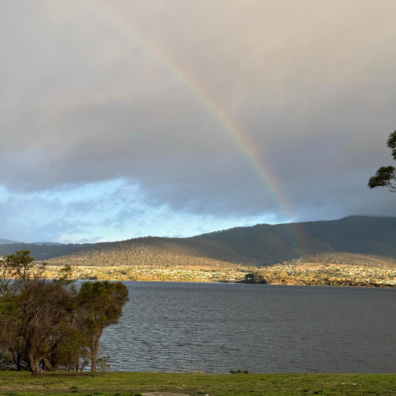 Otago Cottage Hobart Esterno foto